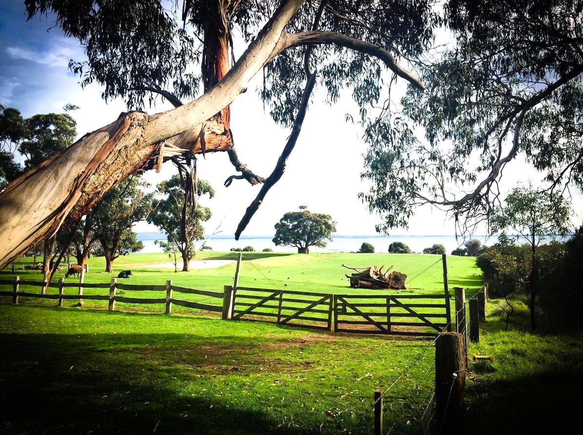 Churchill Island: An Agricultural Heritage and Preservation Area