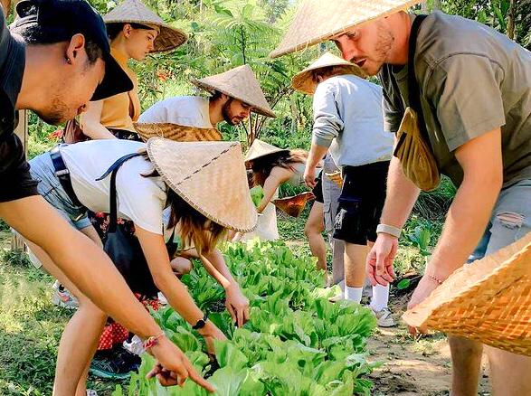 Discover the Joy of Cooking with Local Ingredients in a Farm-to-Table Setting