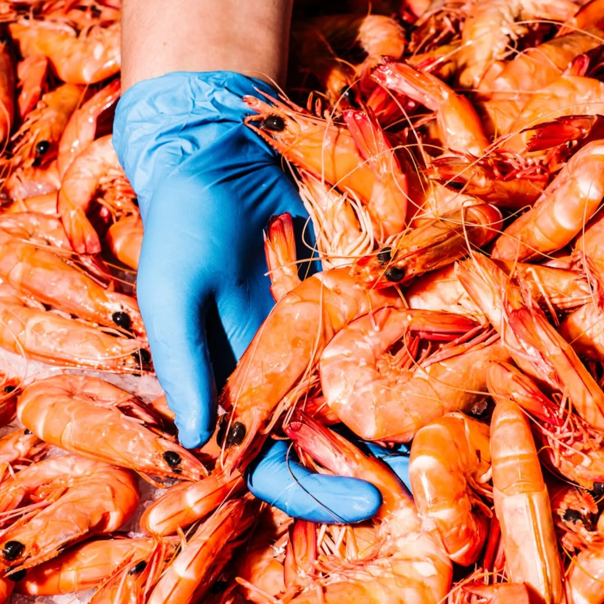 seafood market activity