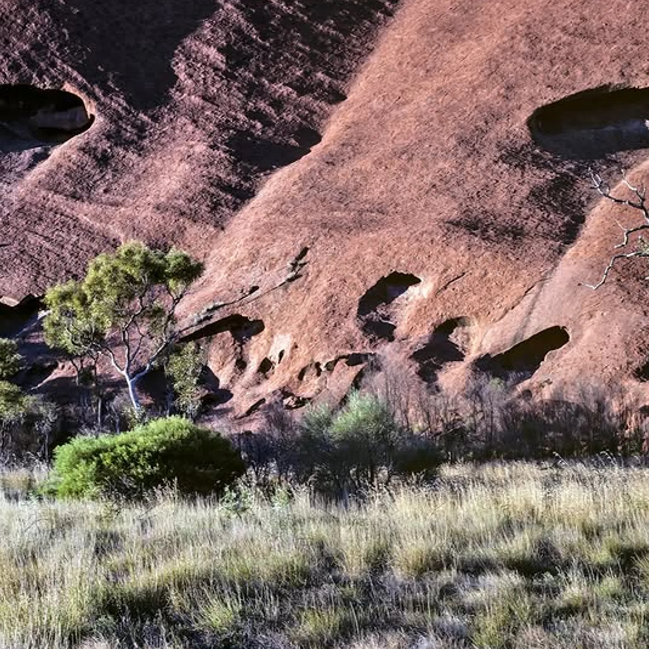 australian red-center desert landscape