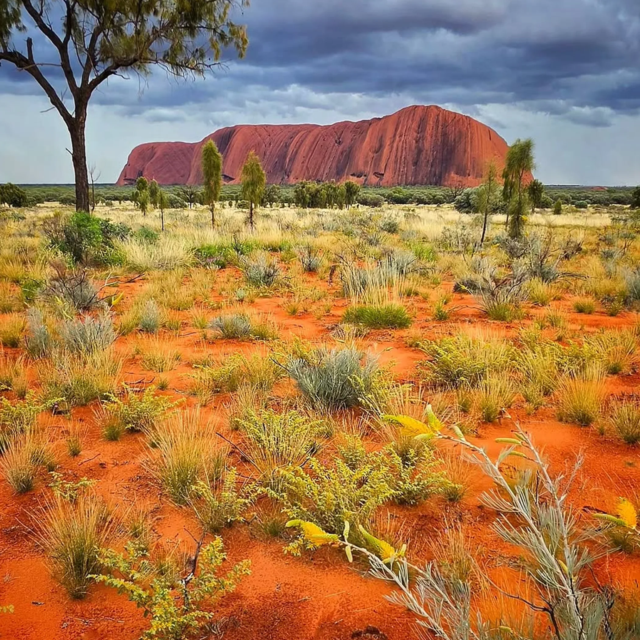 uluru under red centre desert weather