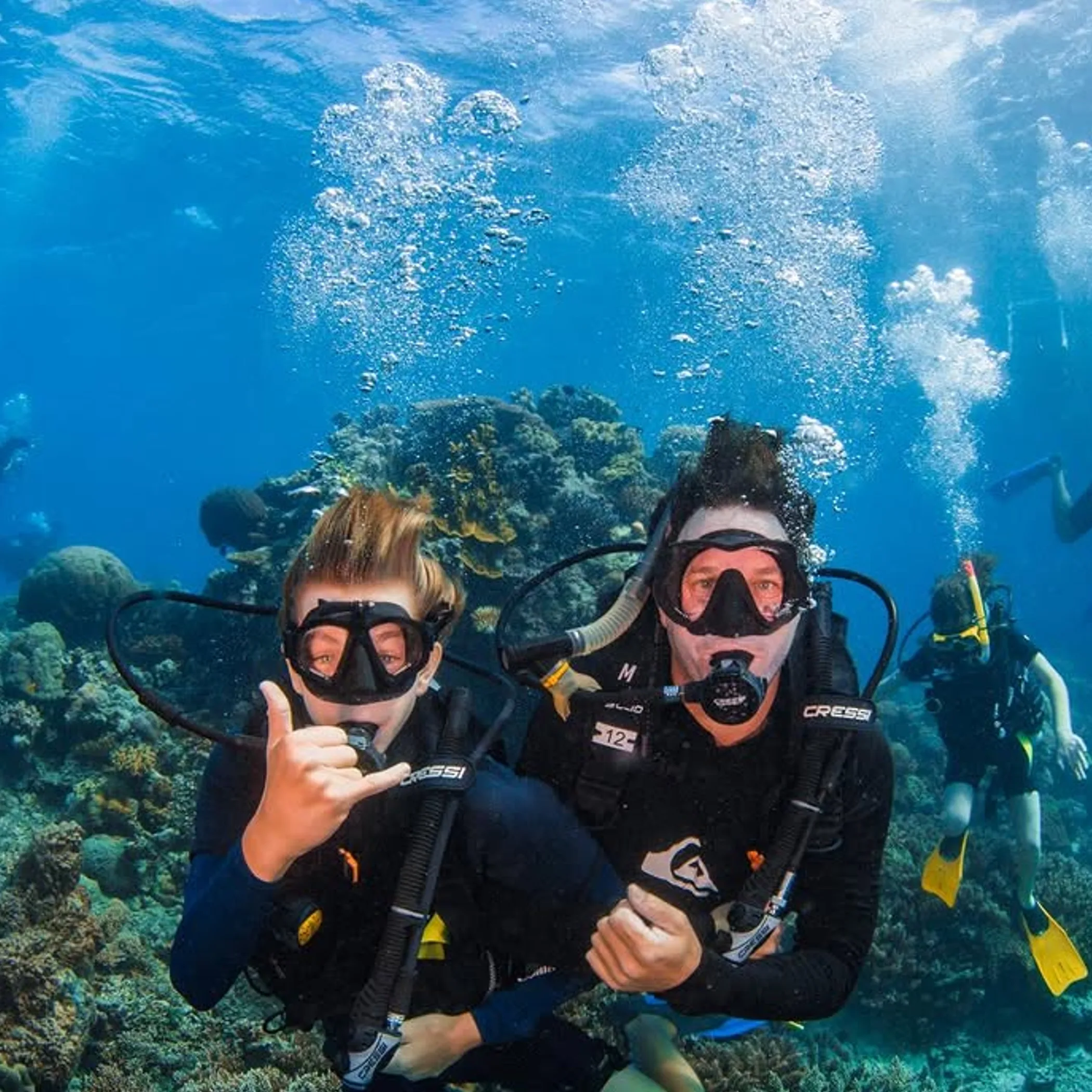 scuba divers over vibrant reef
